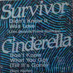 Cinderella (USA) : Don't Know What You Got (Till It's Gone) (Split)